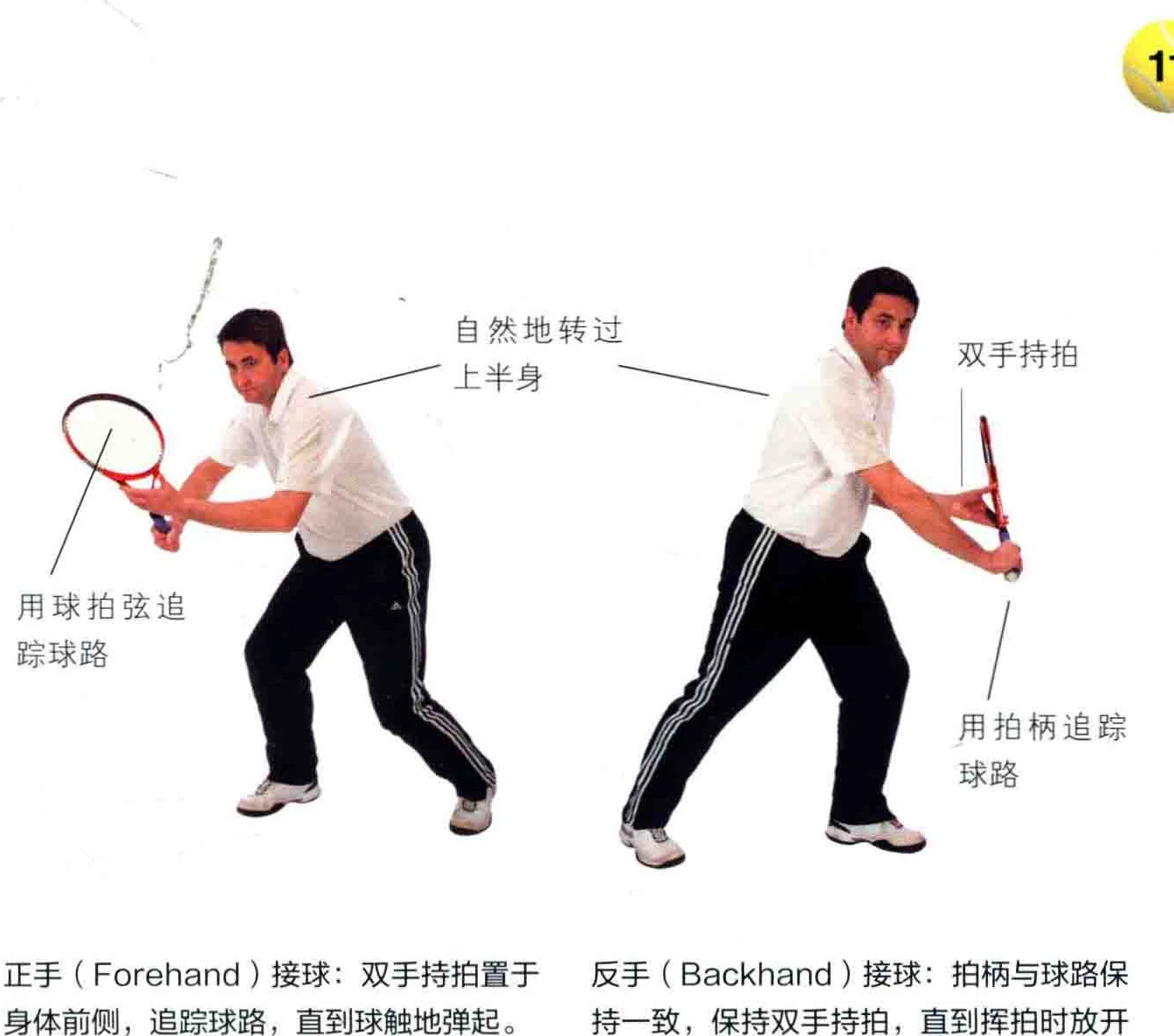 追踪来球