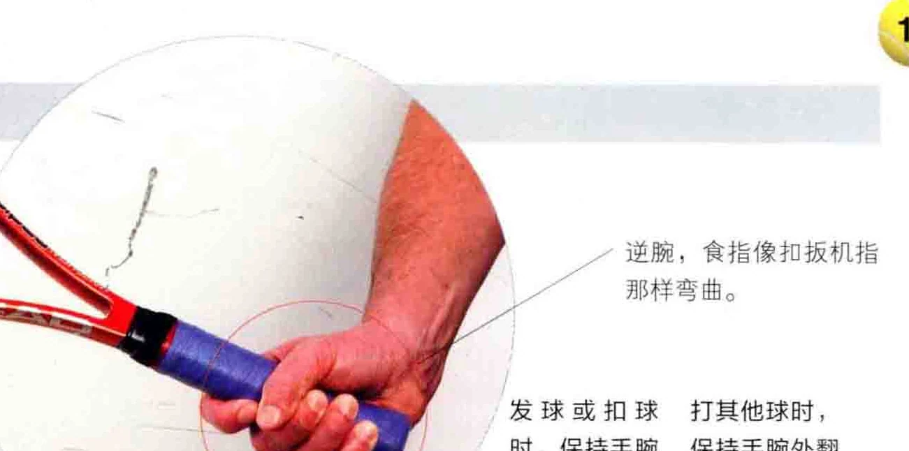 大陆式握拍特写