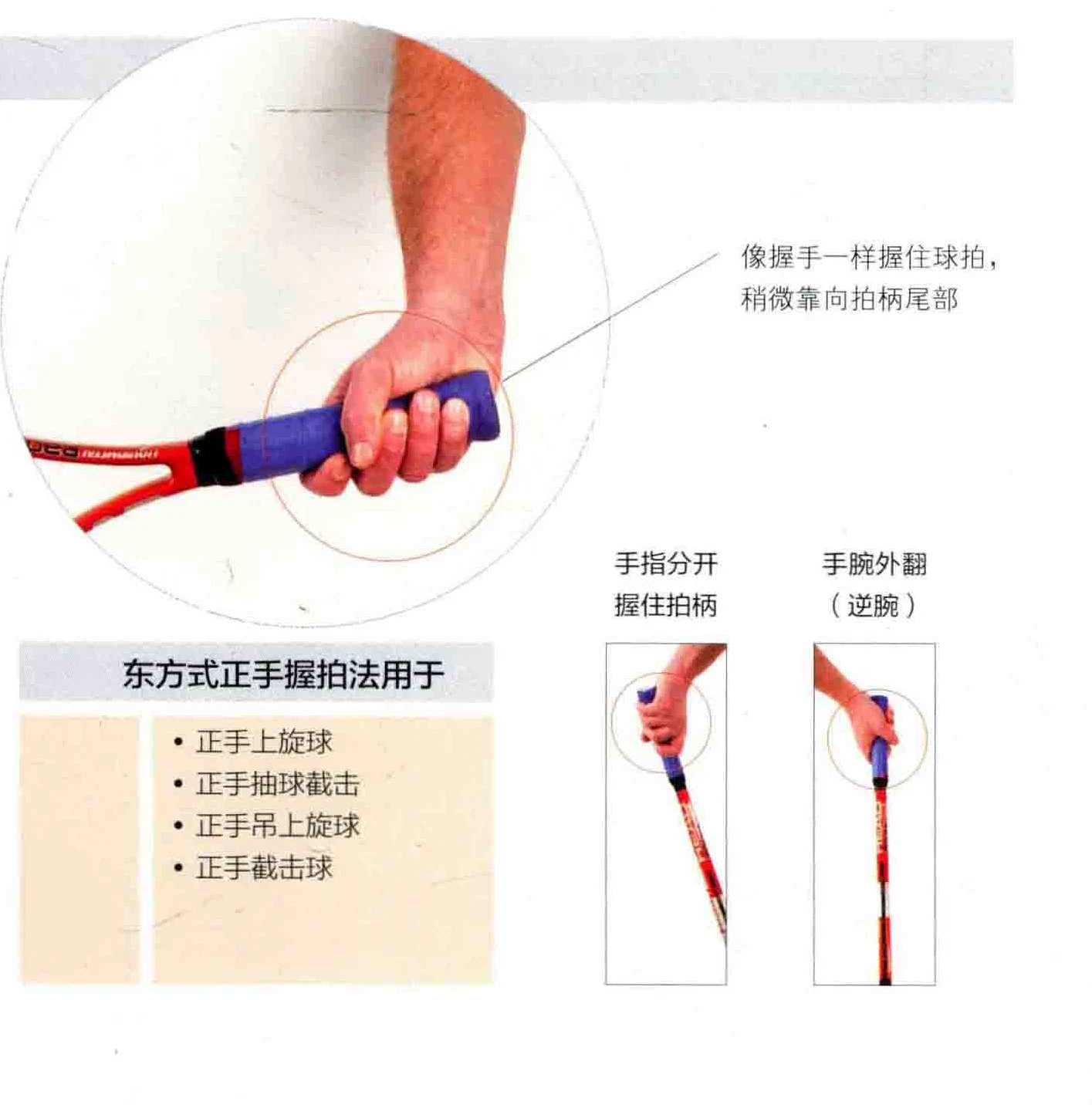 东方式正手握拍及手腕位置
