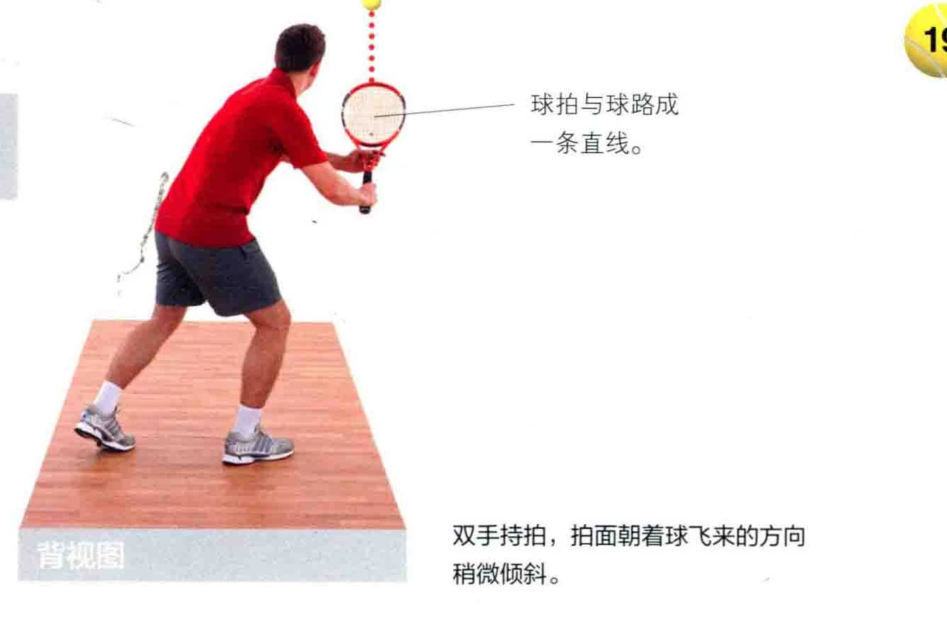 动作示范 · 正面视角