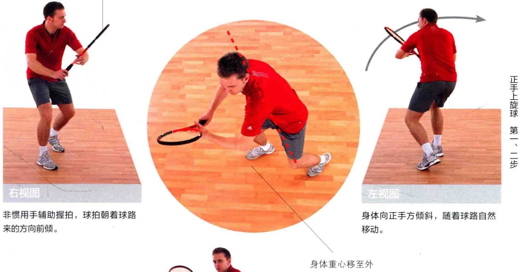 动作示范 · 多角度视图