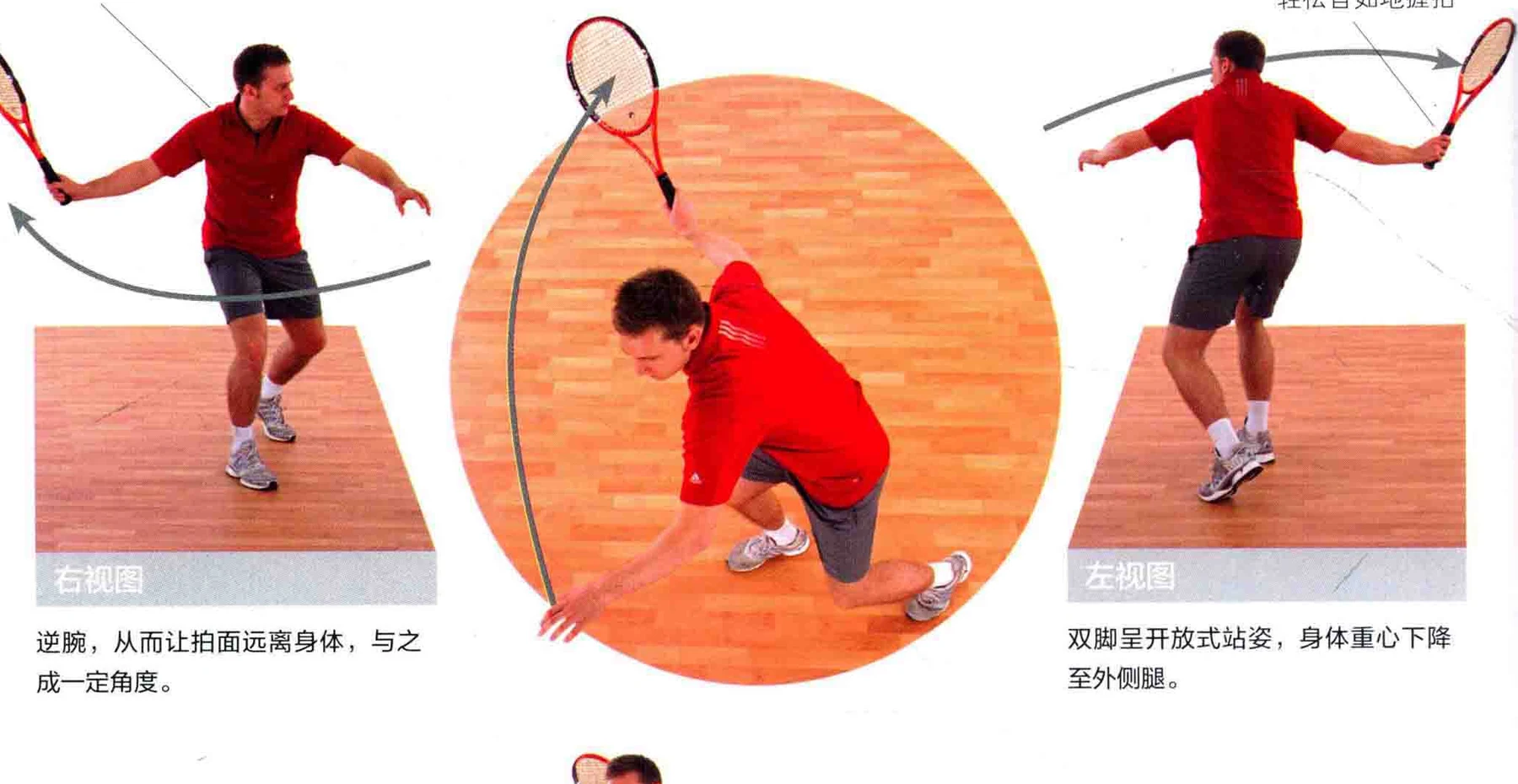 动作示范 · 多角度视图