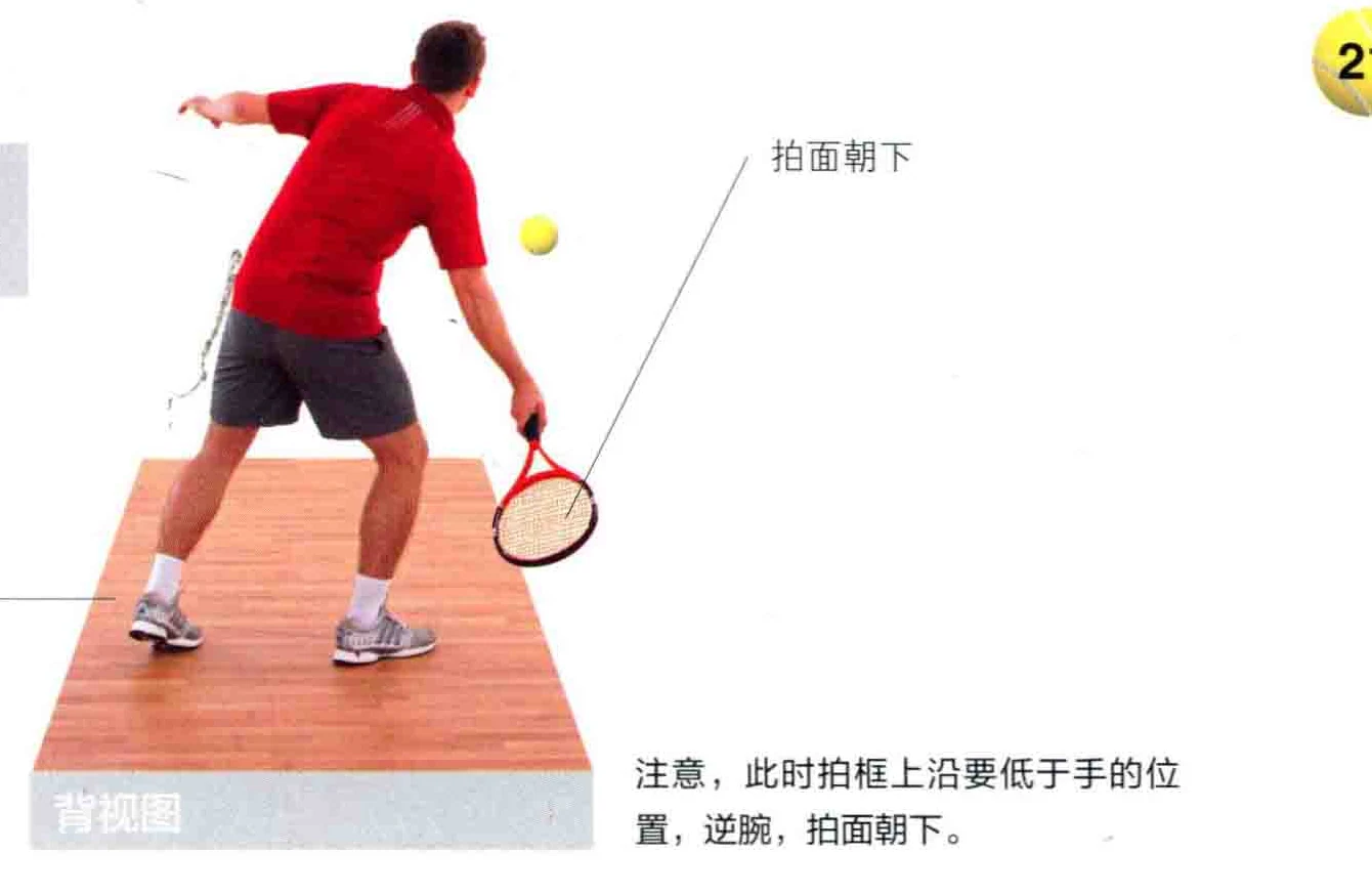 动作示范 · 正面视角