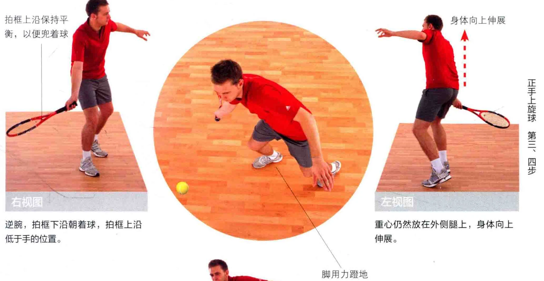 动作示范 · 多角度视图