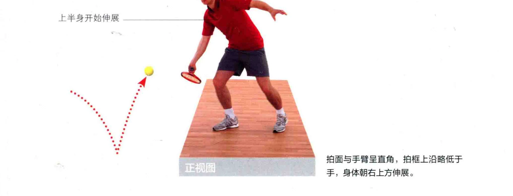 动作示范 · 完成与要义