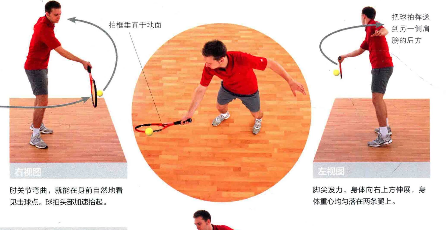 动作示范 · 多角度视图