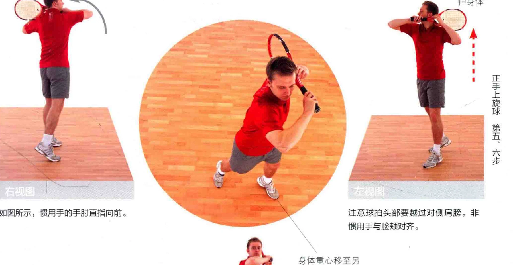 动作示范 · 多角度视图