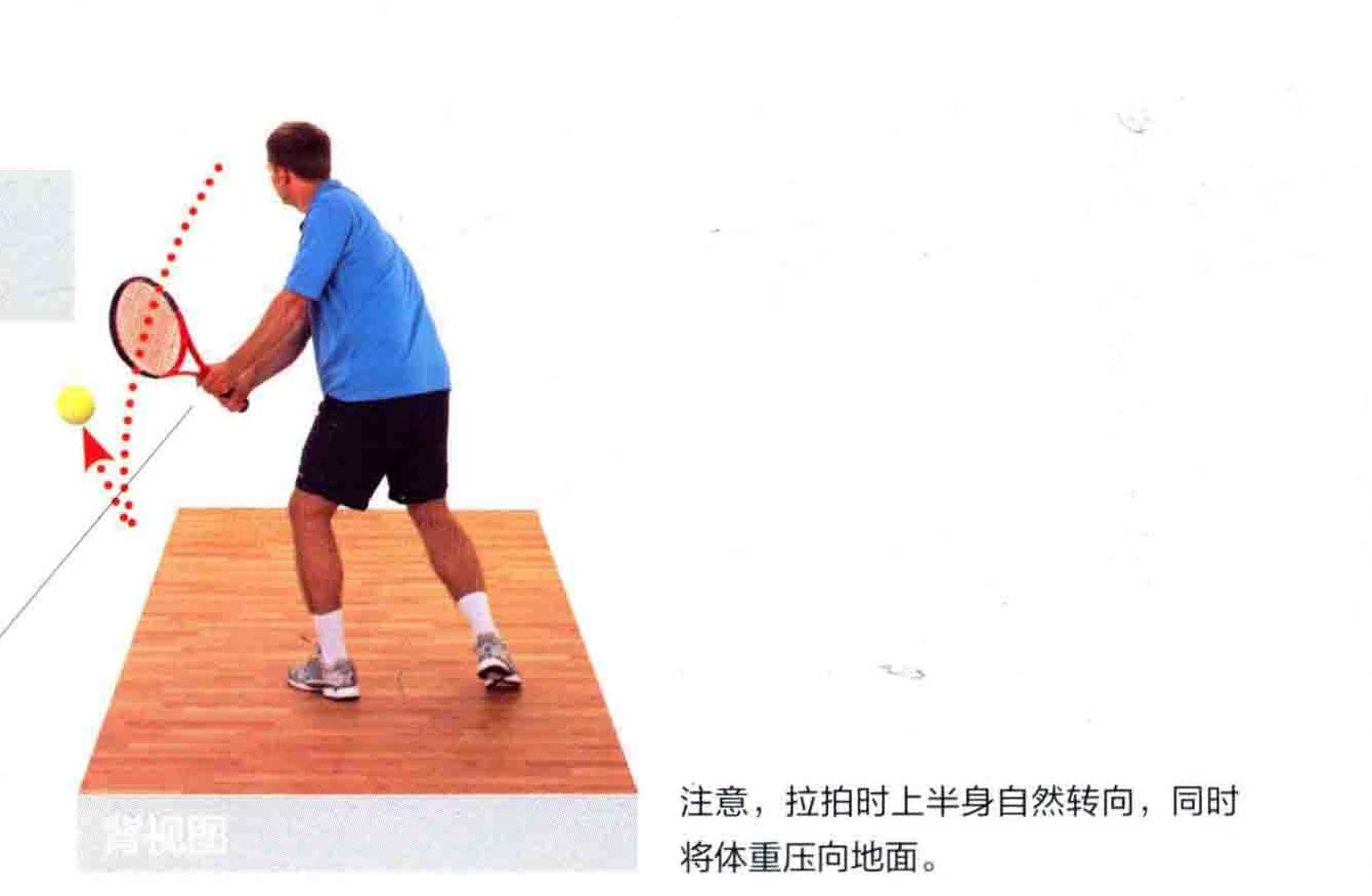 动作示范 · 正面视角