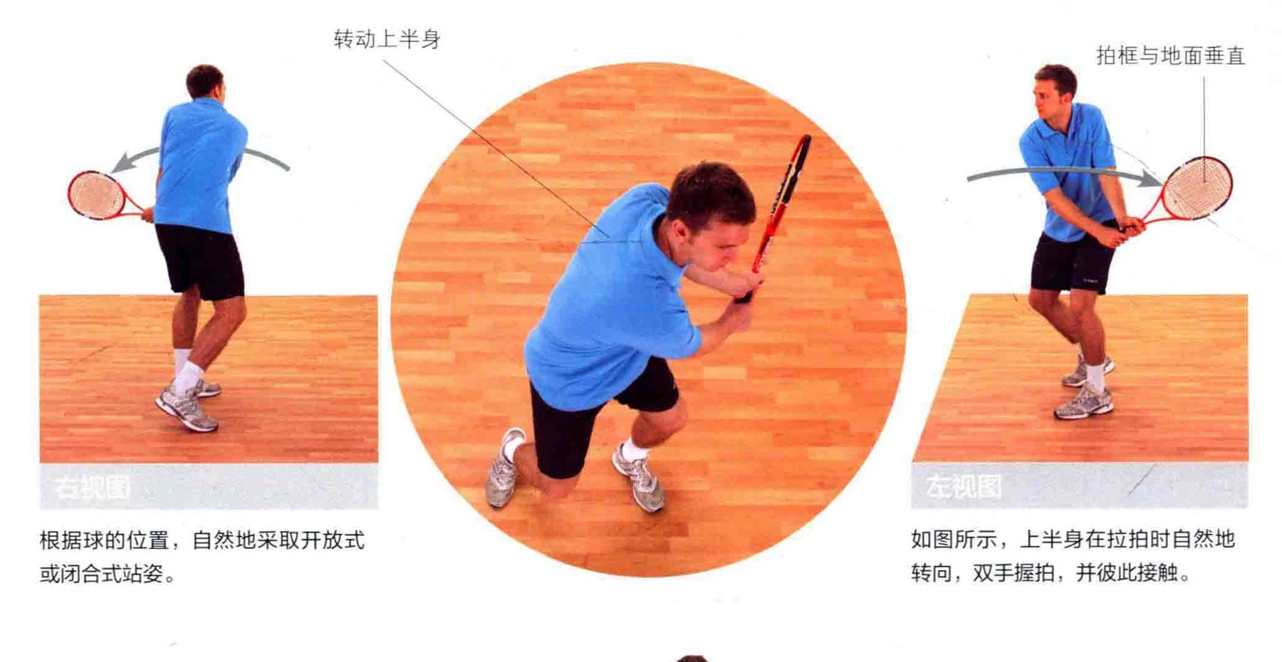 动作示范 · 多角度视图
