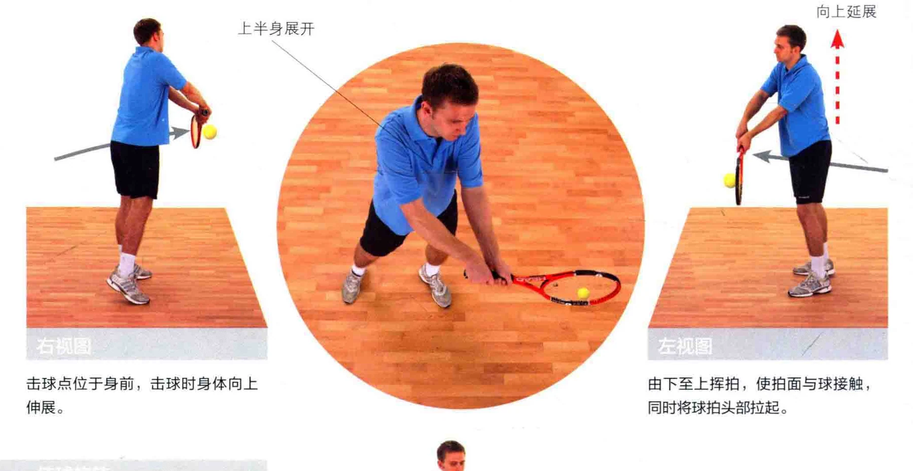 动作示范 · 多角度视图