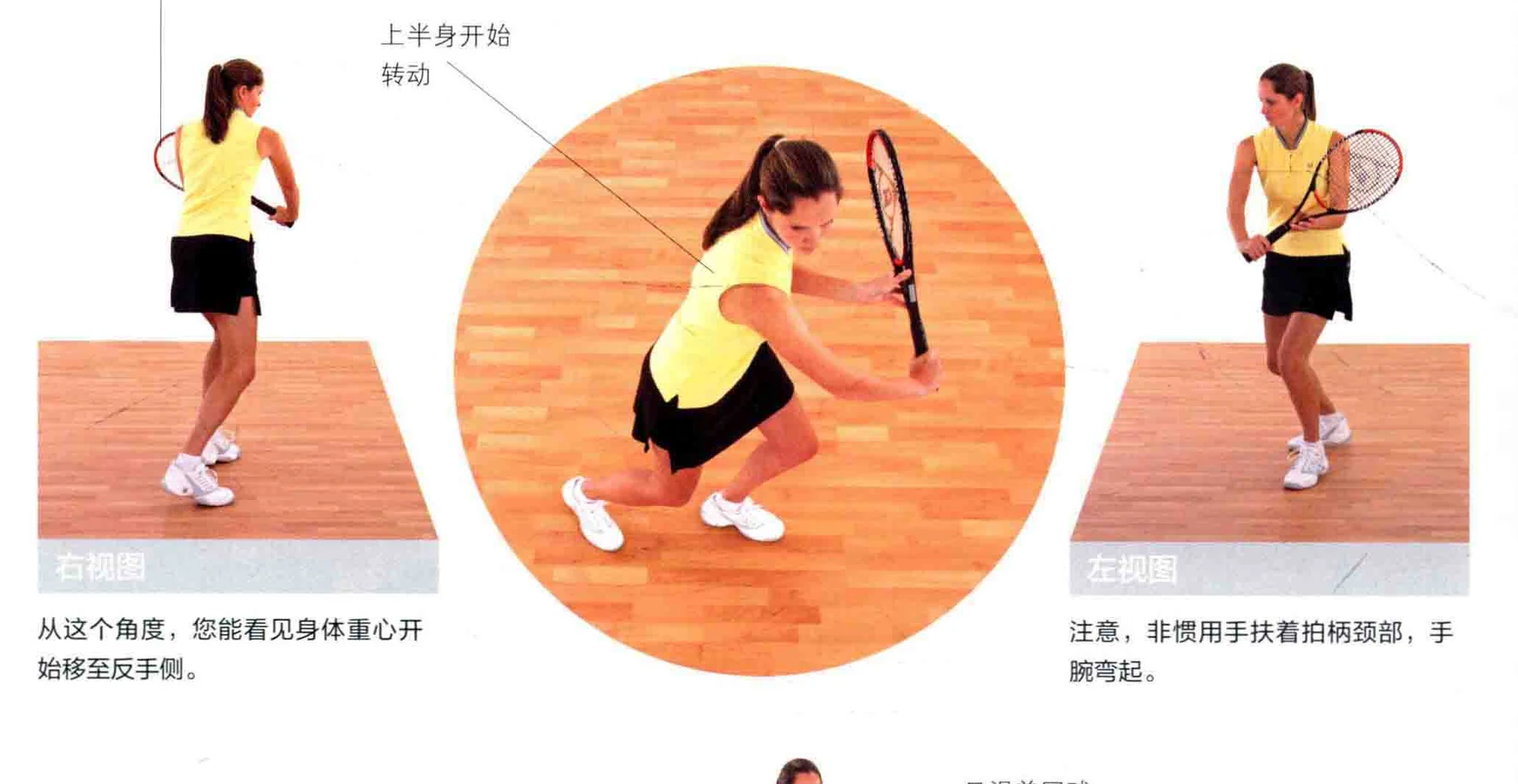 动作示范 · 多角度视图