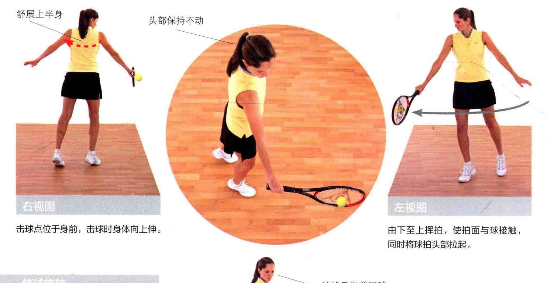 动作示范 · 多角度视图