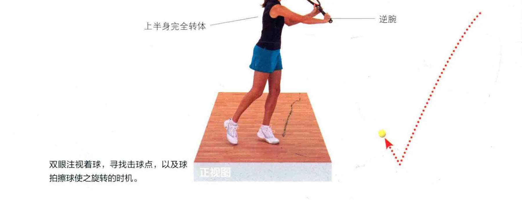 动作示范 · 完成与要义