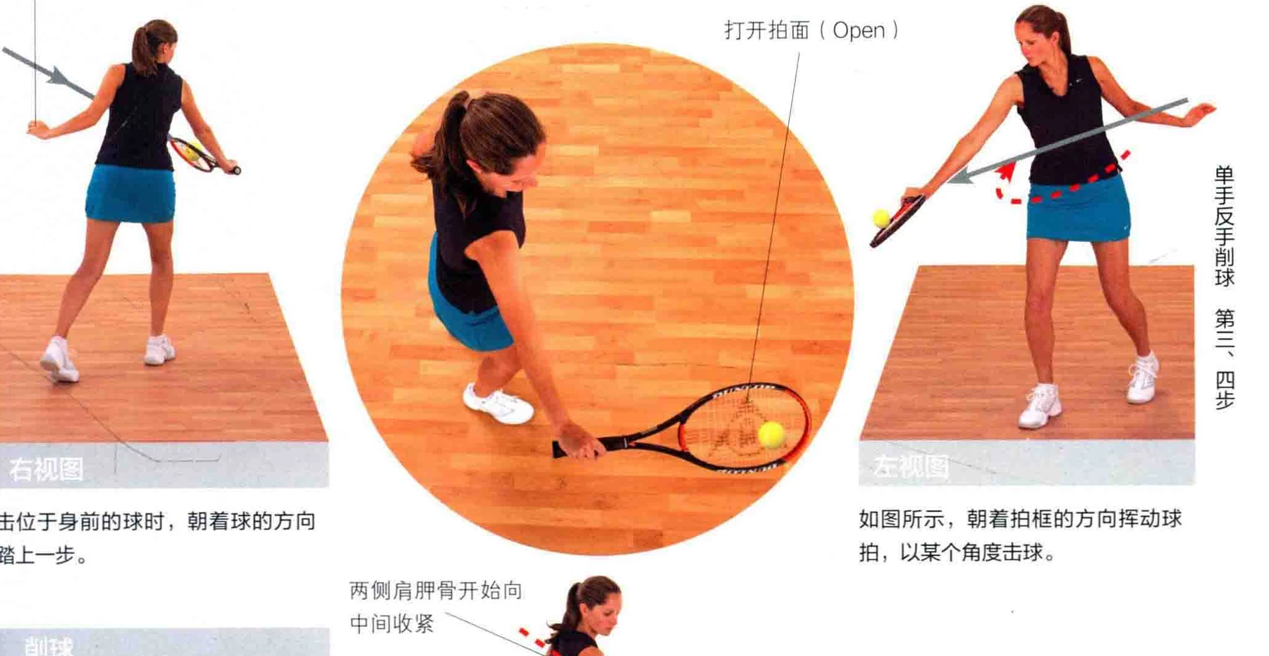 动作示范 · 多角度视图