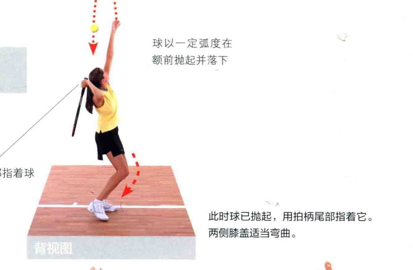 动作示范 · 正面视角