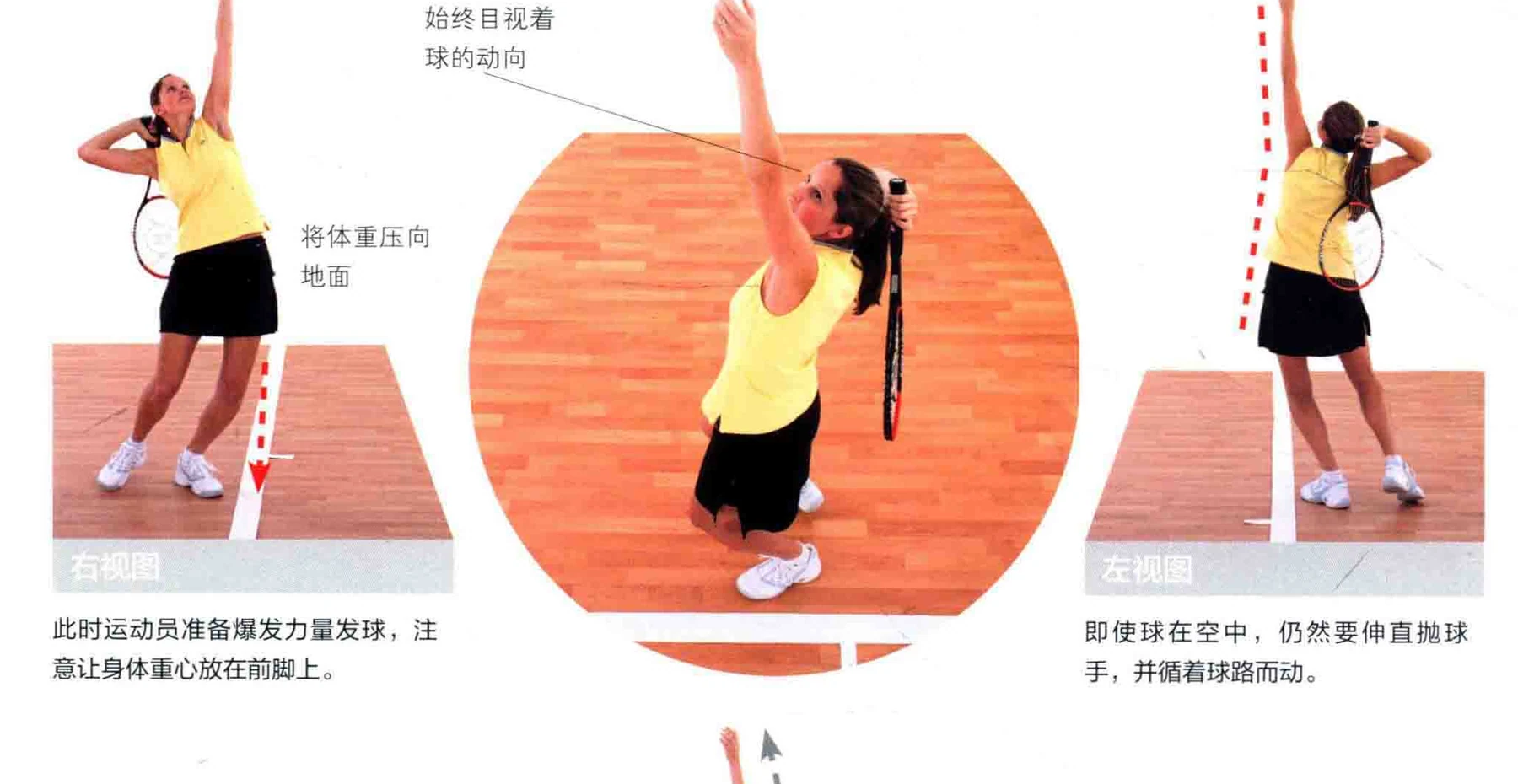 动作示范 · 多角度视图
