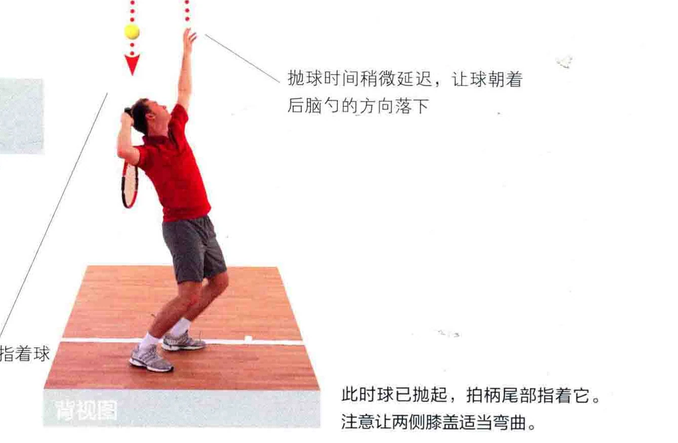 动作示范 · 正面视角