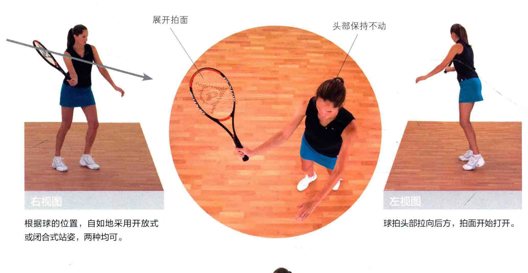 动作示范 · 多角度视图