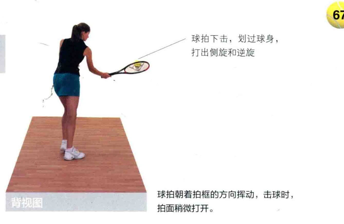 动作示范 · 正面视角