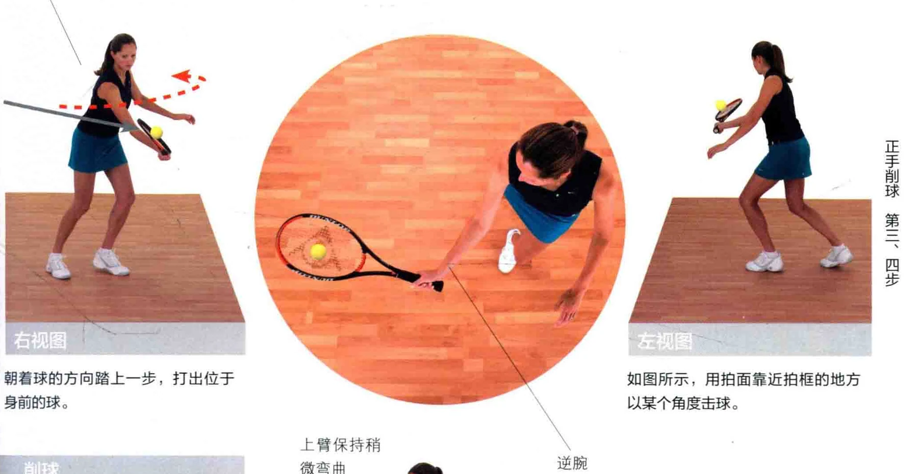 动作示范 · 多角度视图