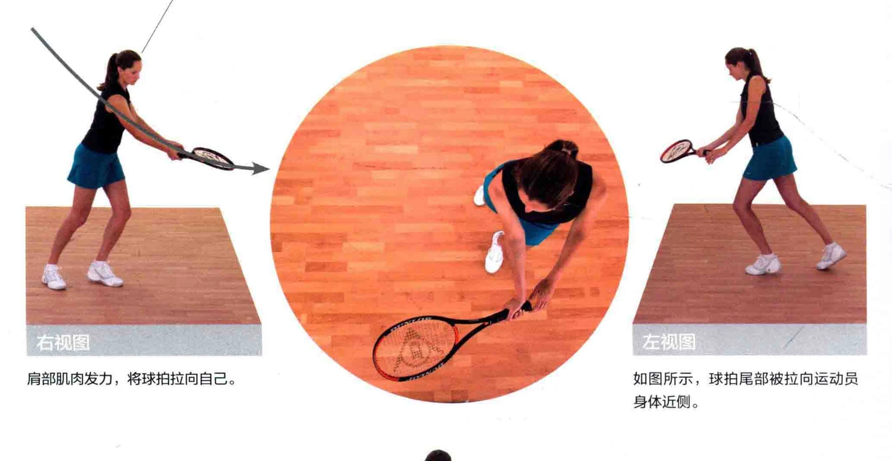 动作示范 · 多角度视图