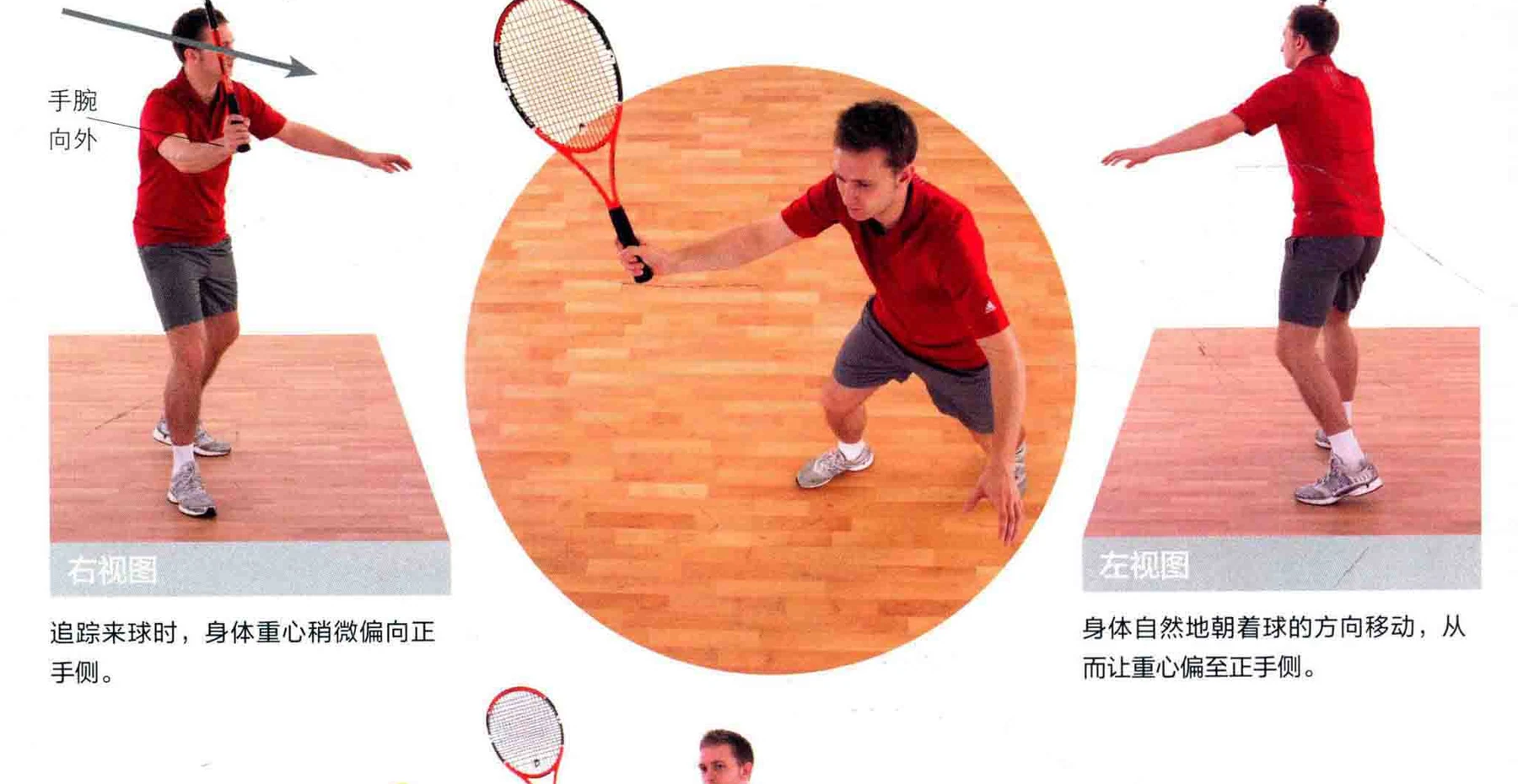 动作示范 · 多角度视图