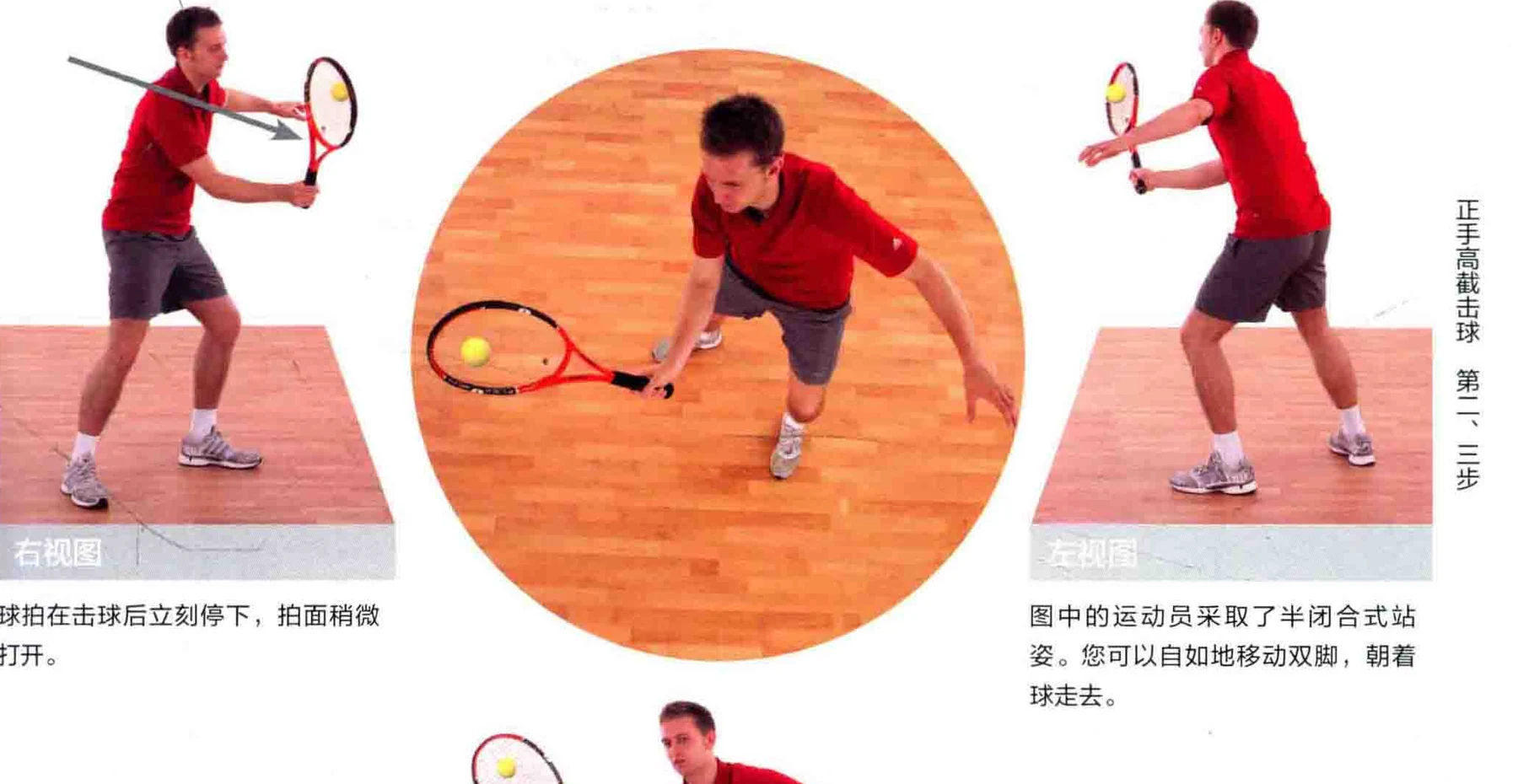动作示范 · 多角度视图