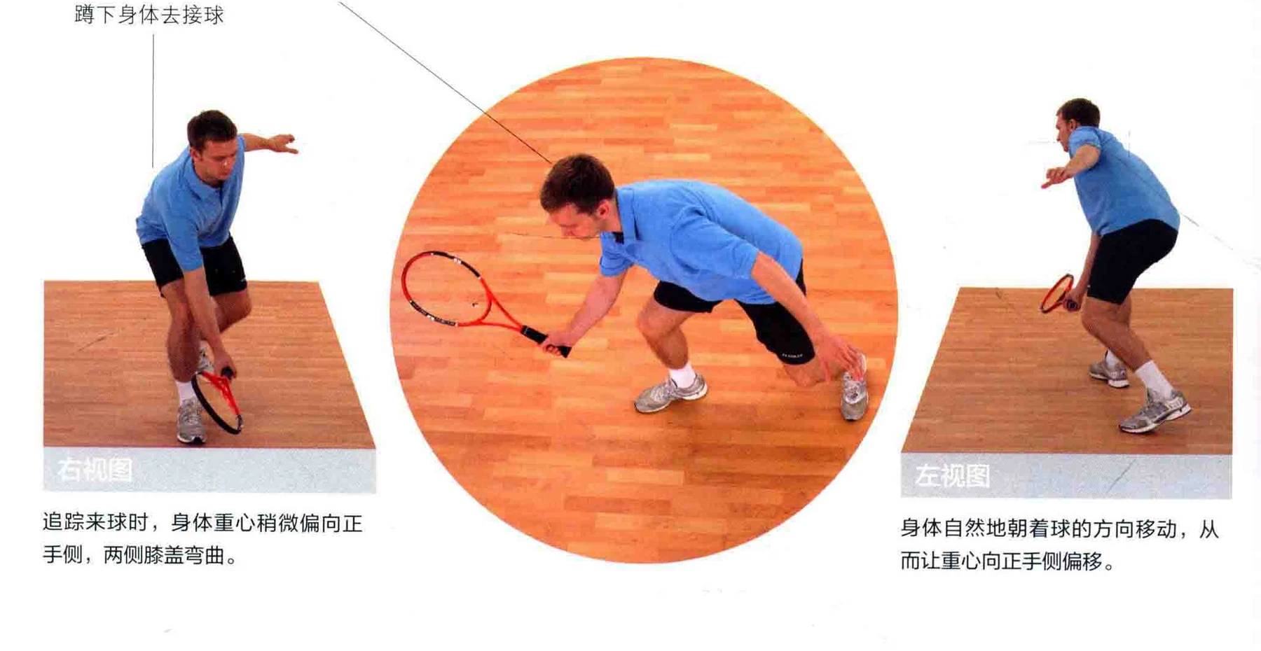 动作示范 · 多角度视图