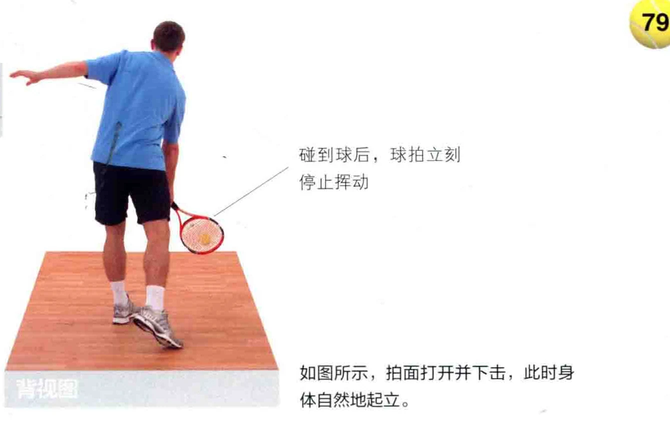 动作示范 · 正面视角