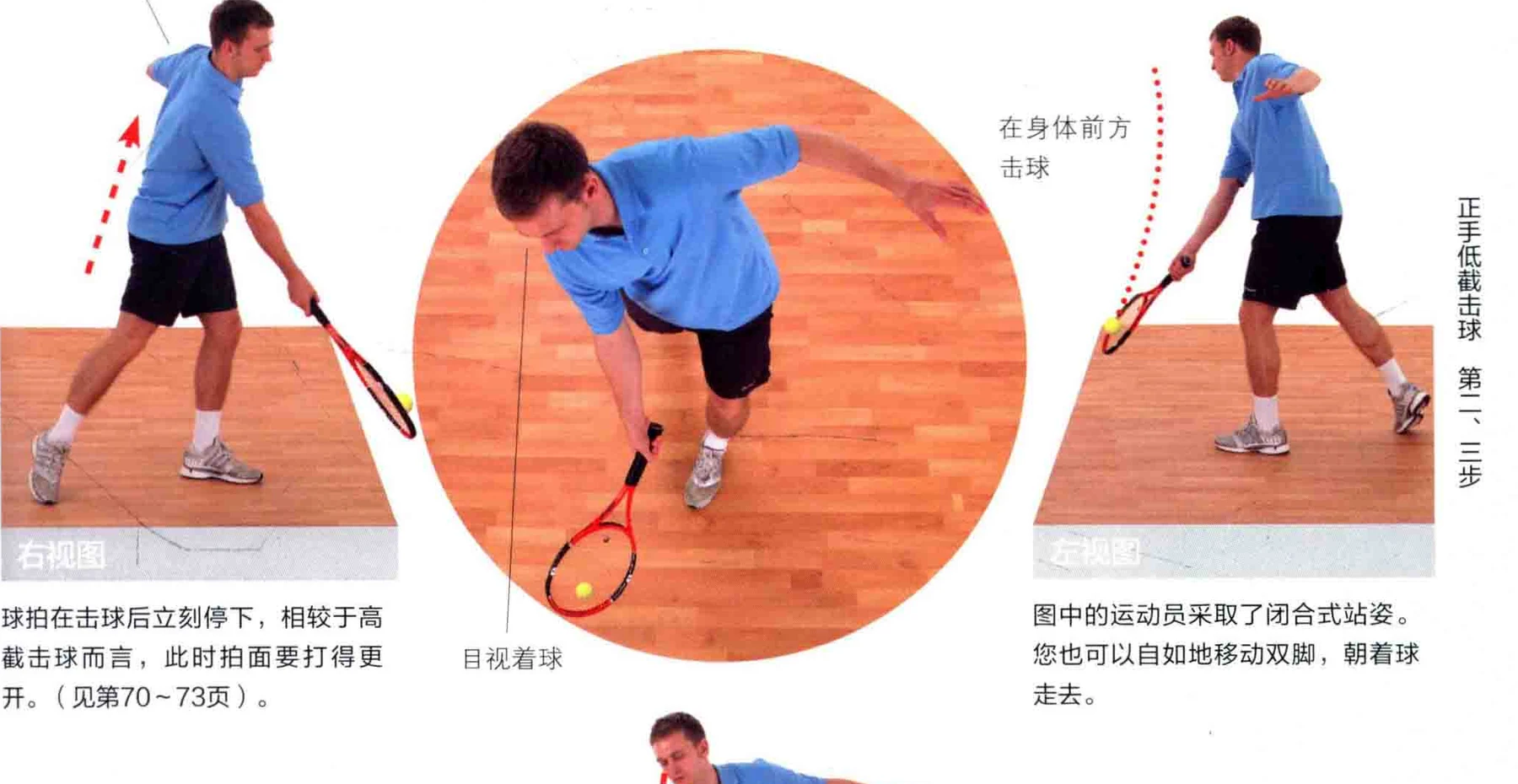 动作示范 · 多角度视图