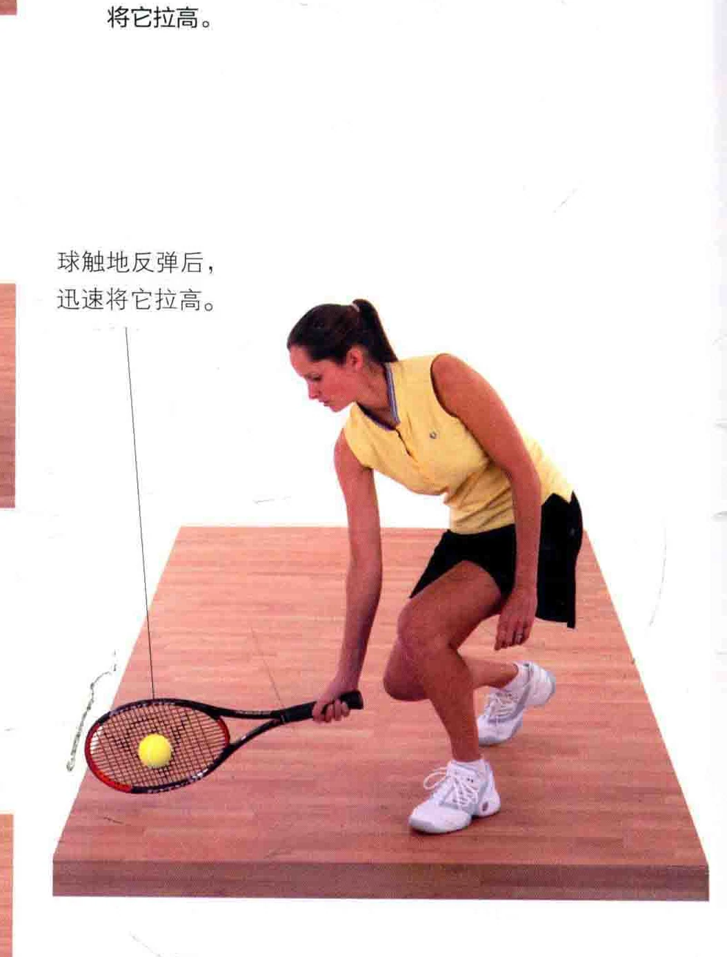 动作示范与标注