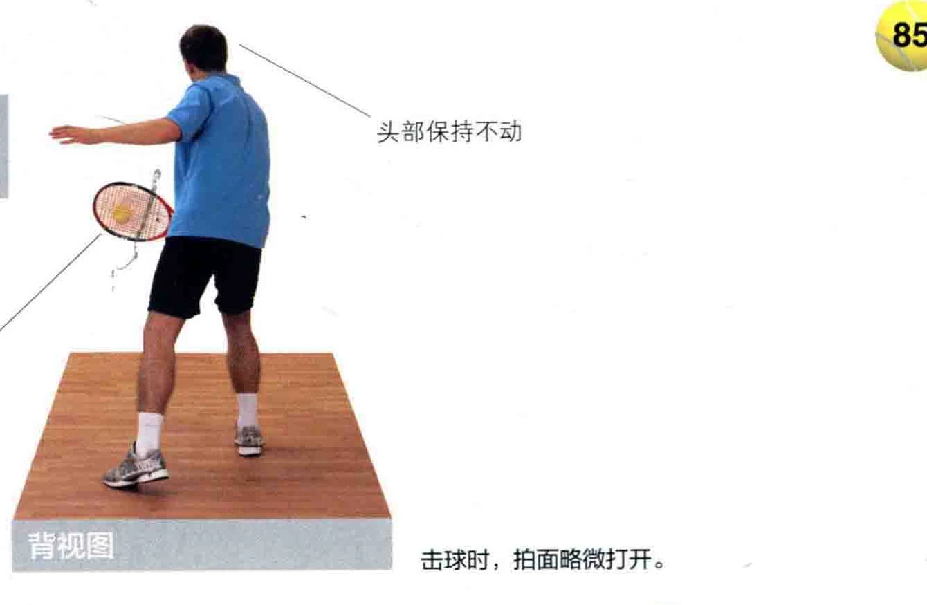 动作示范 · 正面视角