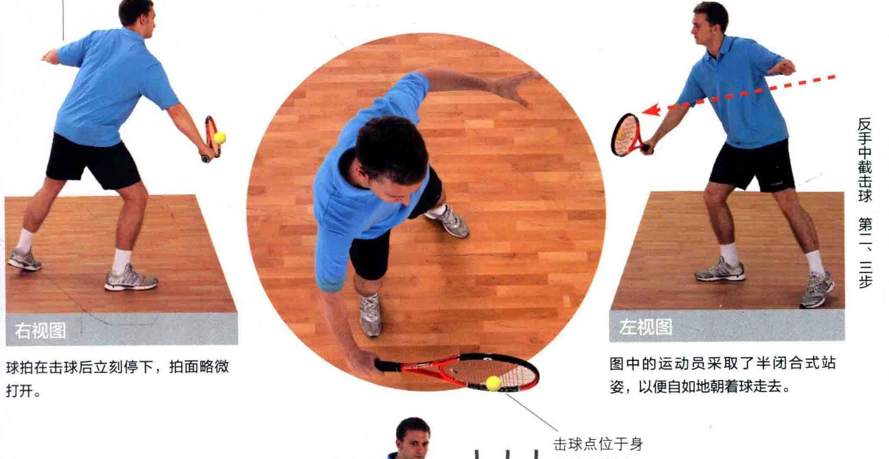 动作示范 · 多角度视图