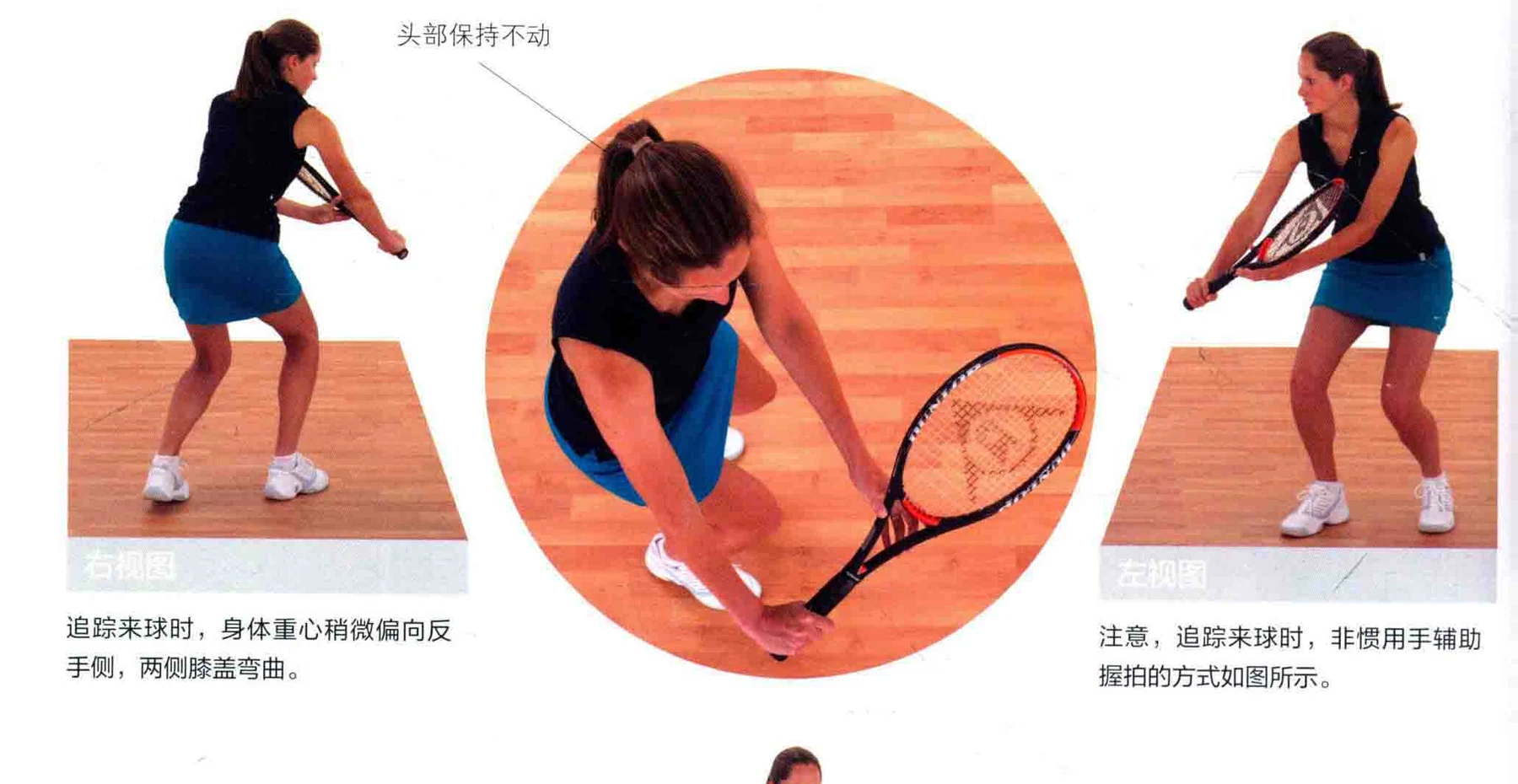 动作示范 · 多角度视图