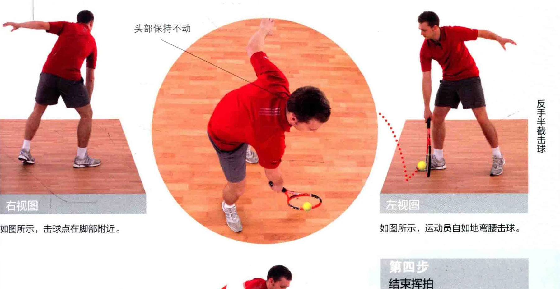 动作示范 · 多角度视图