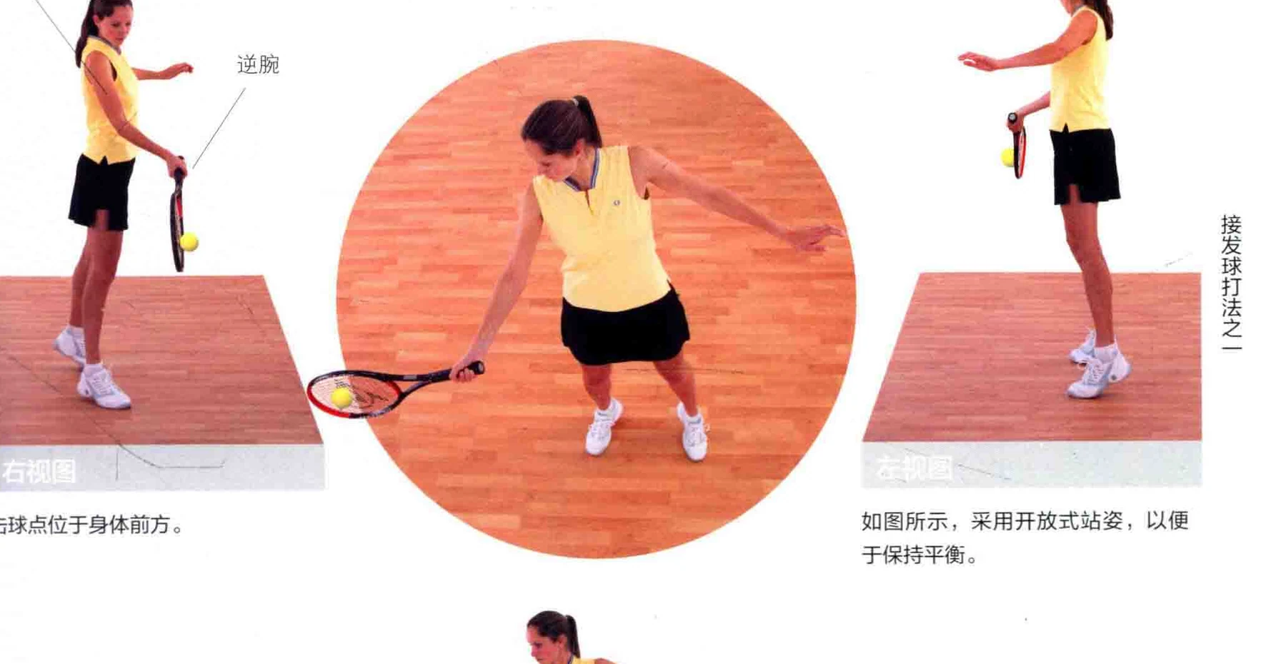 动作示范 · 多角度视图