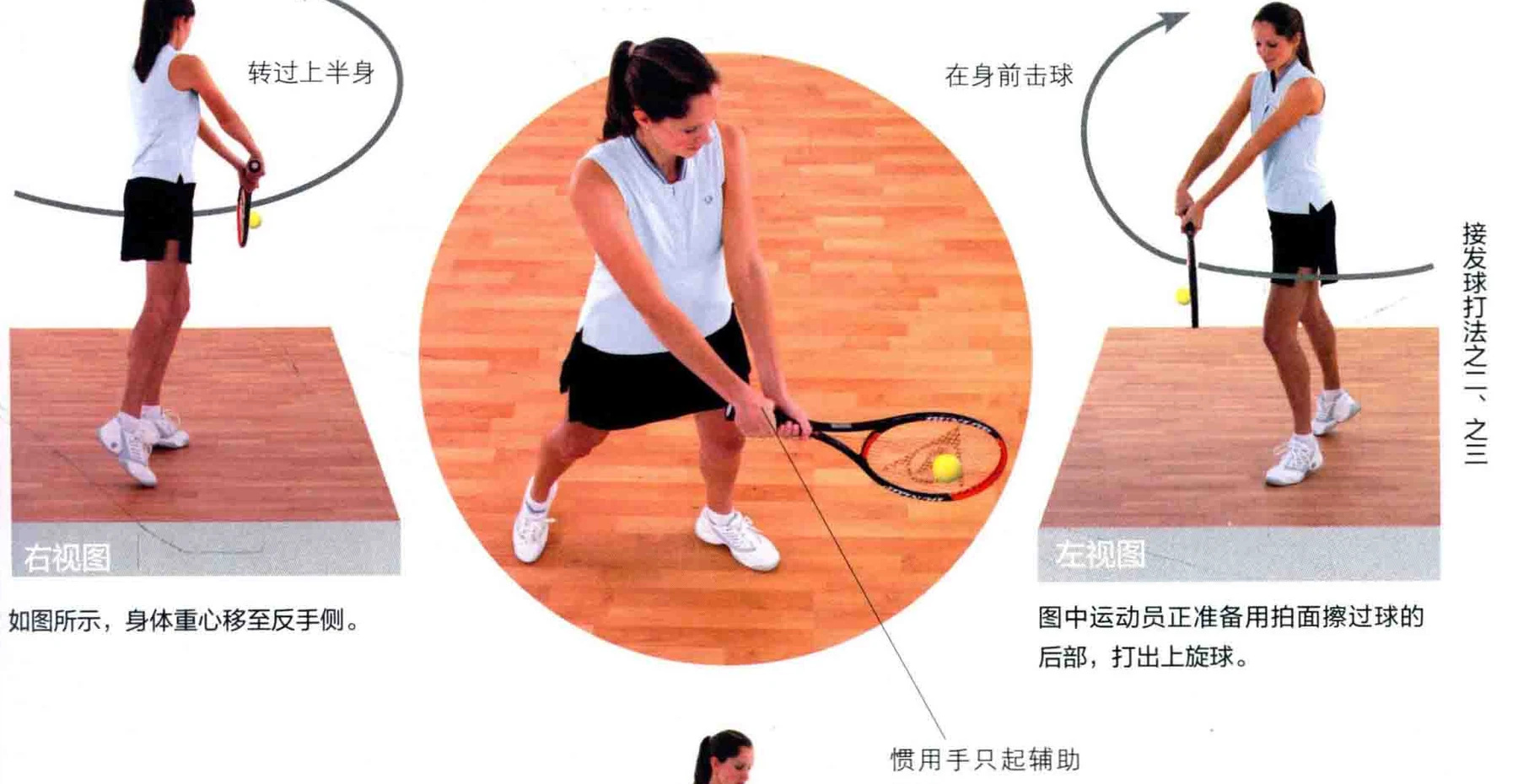 动作示范 · 多角度视图