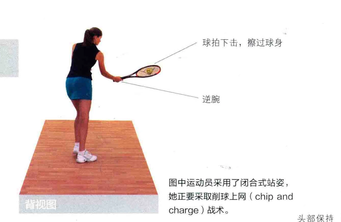 动作示范 · 正面视角