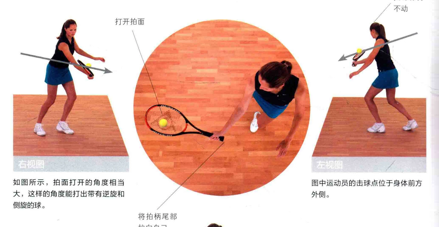 动作示范 · 多角度视图