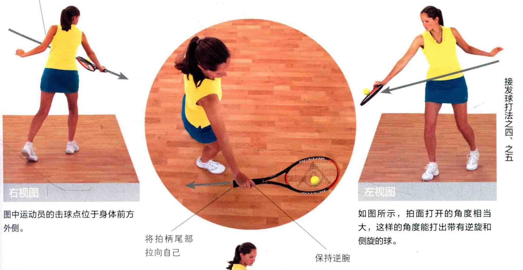 动作示范 · 多角度视图