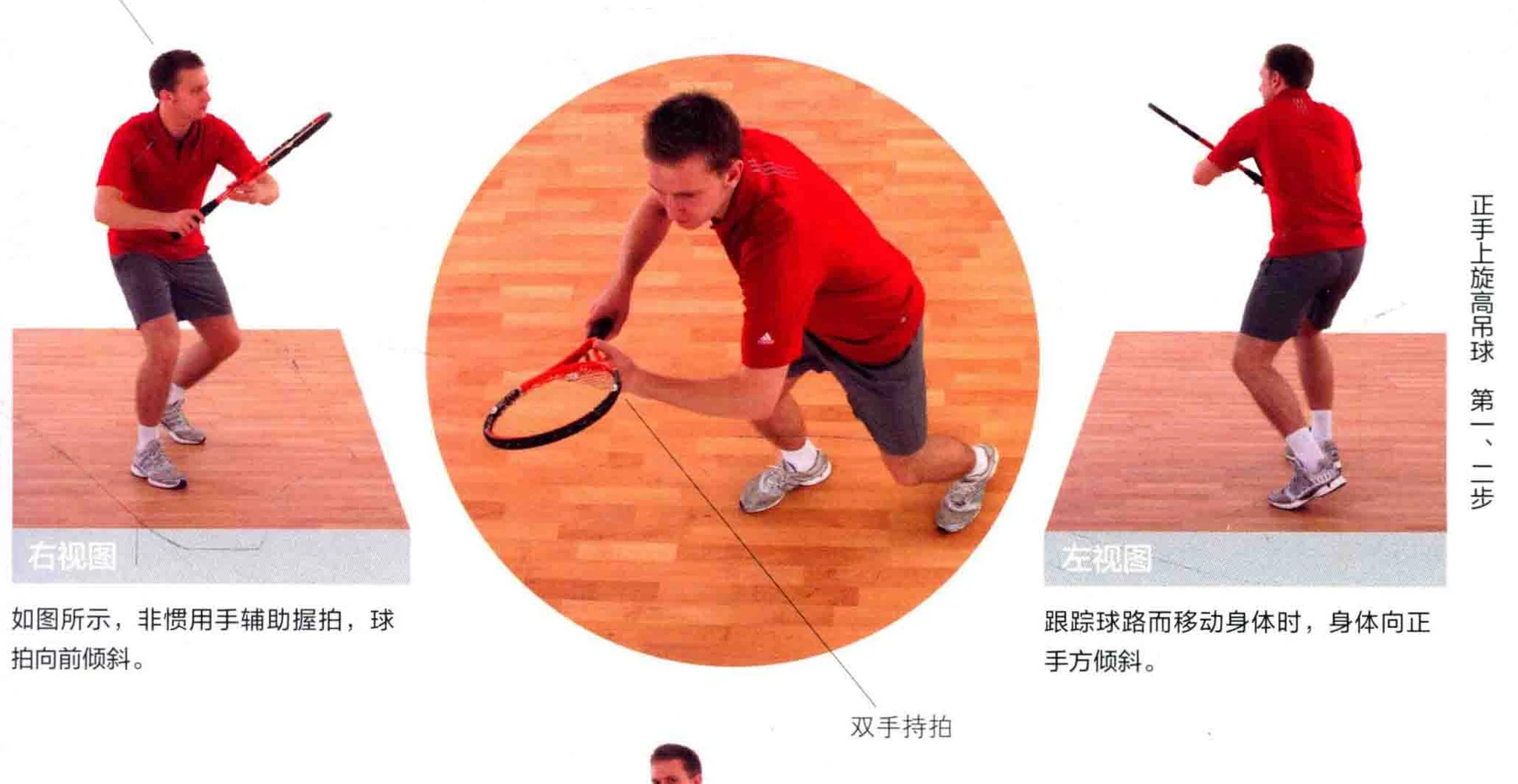 动作示范 · 多角度视图