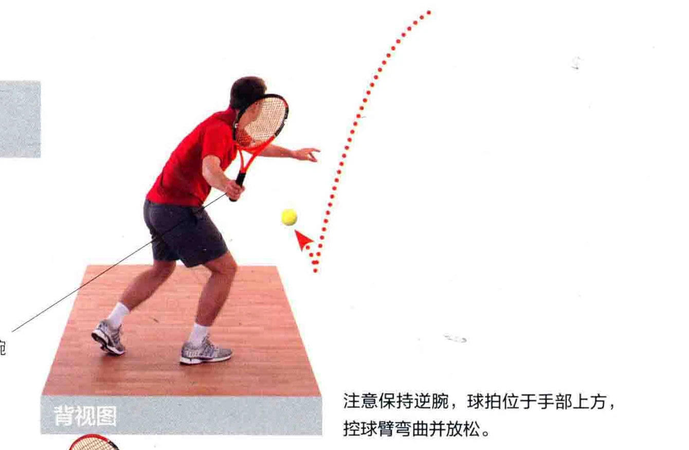动作示范 · 正面视角