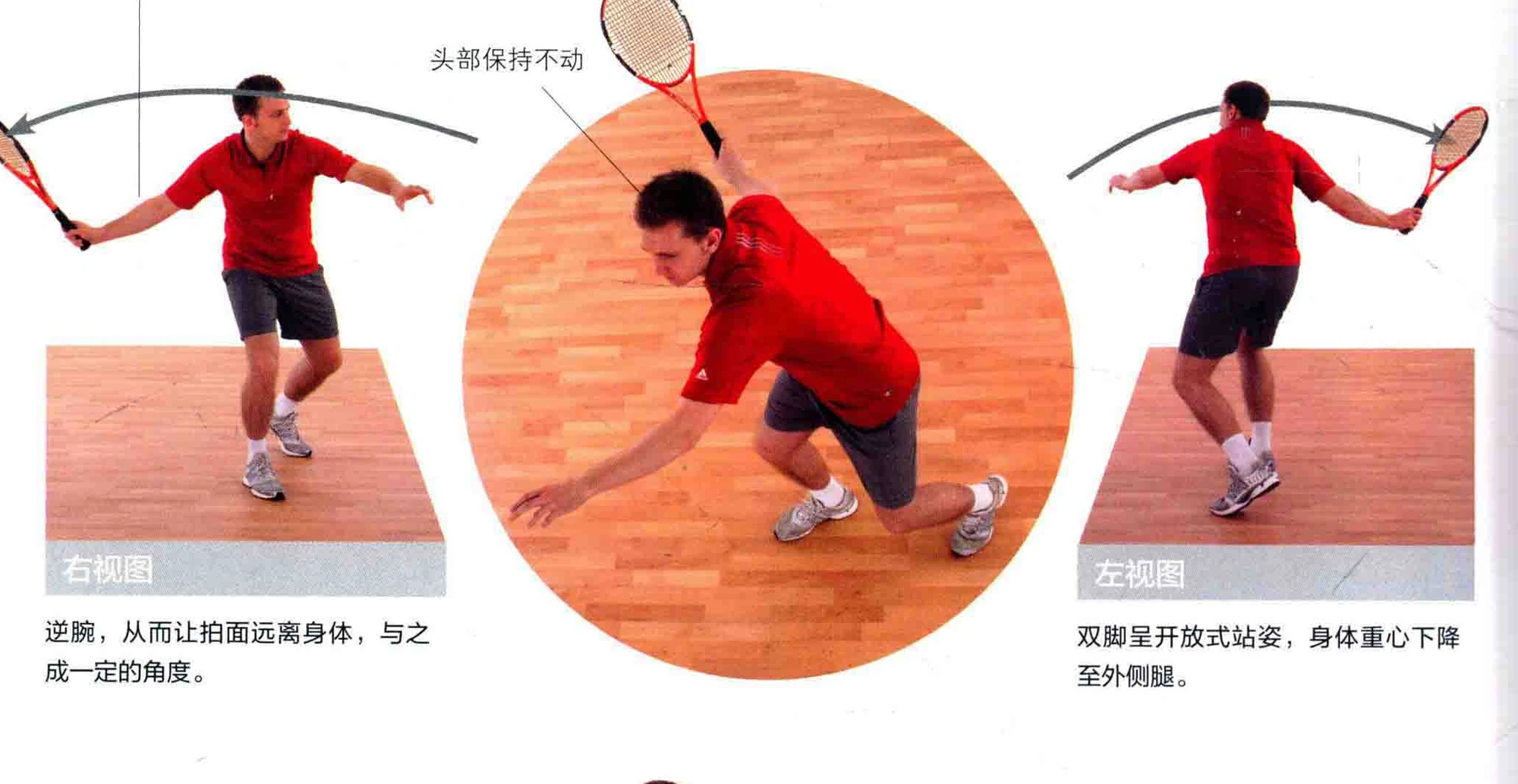 动作示范 · 多角度视图
