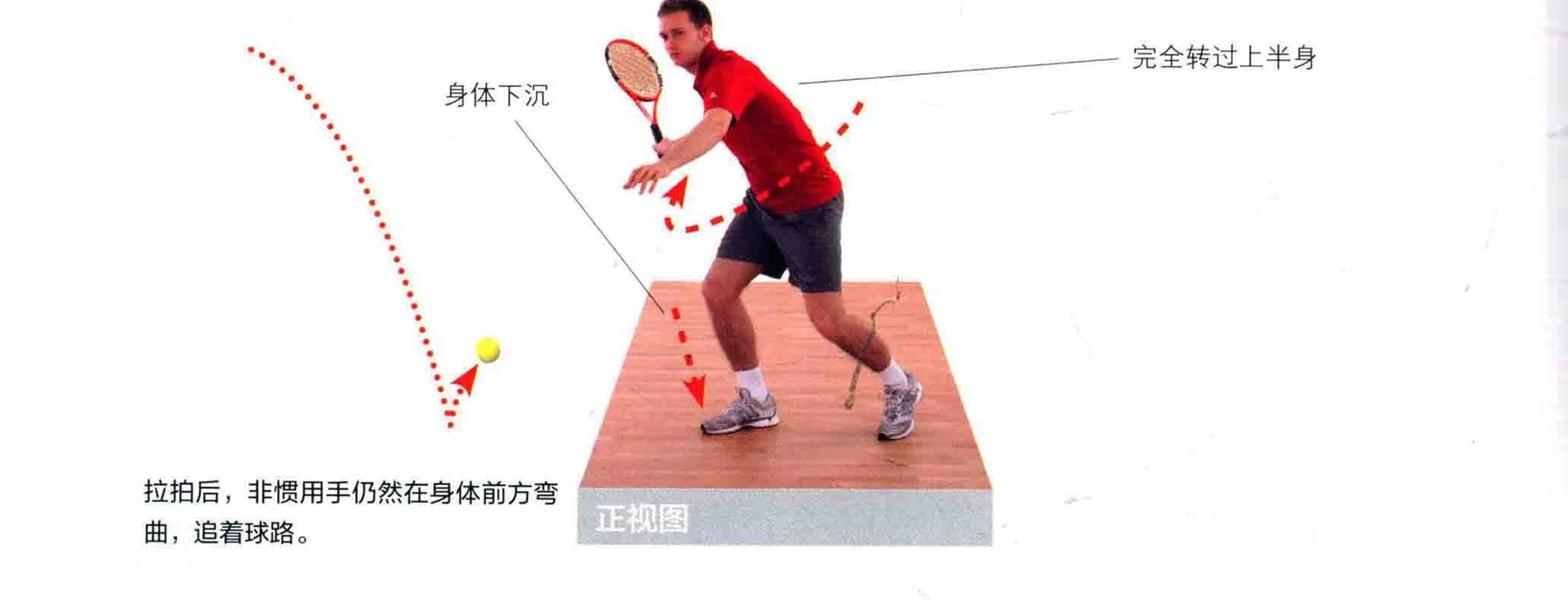 动作示范 · 完成与要义
