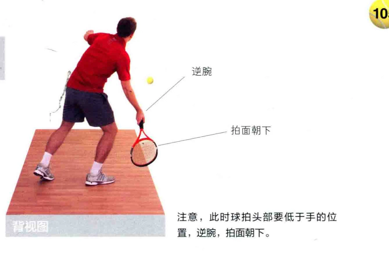 动作示范 · 正面视角
