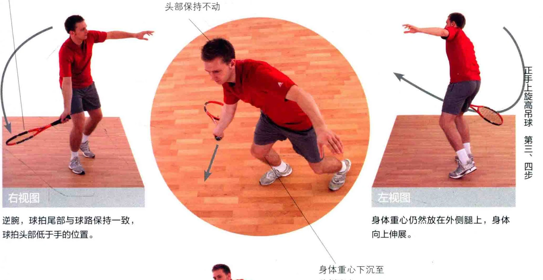 动作示范 · 多角度视图