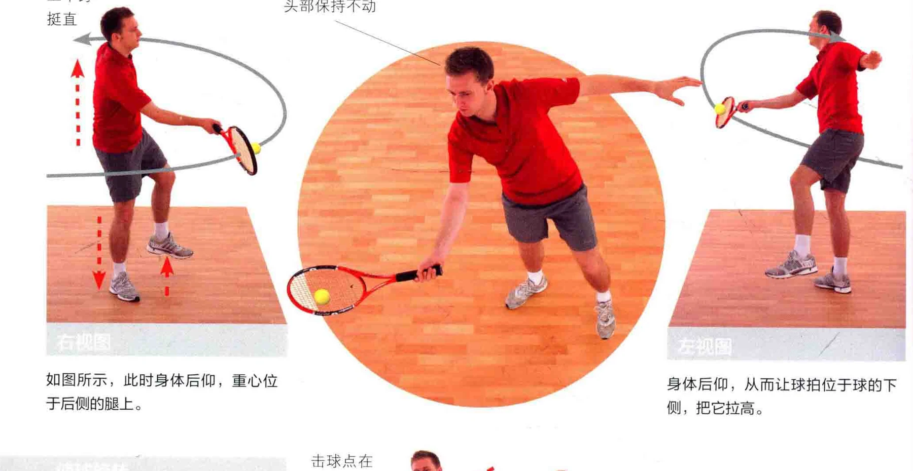 动作示范 · 多角度视图
