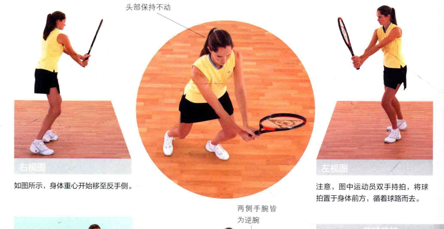 动作示范 · 多角度视图