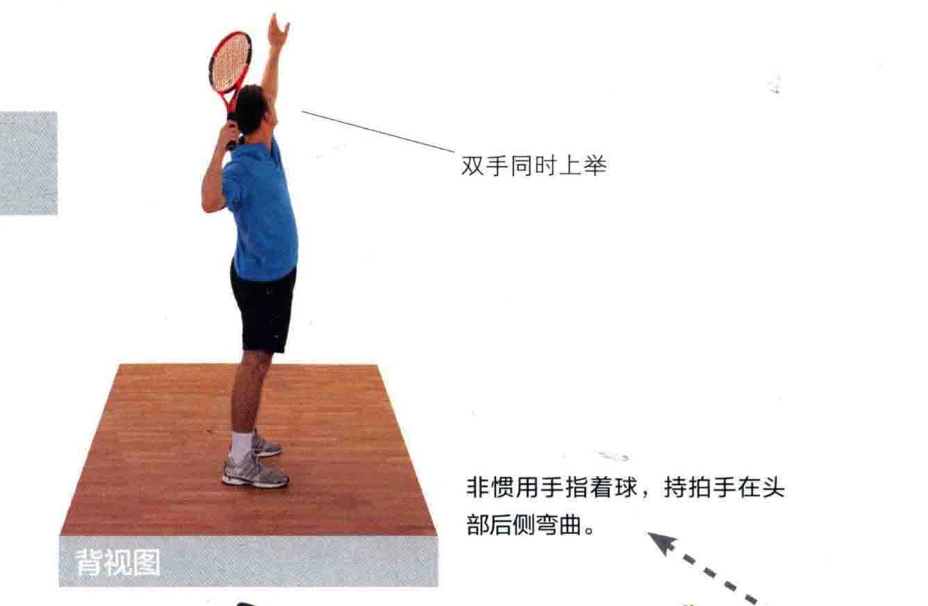 动作示范 · 正面视角