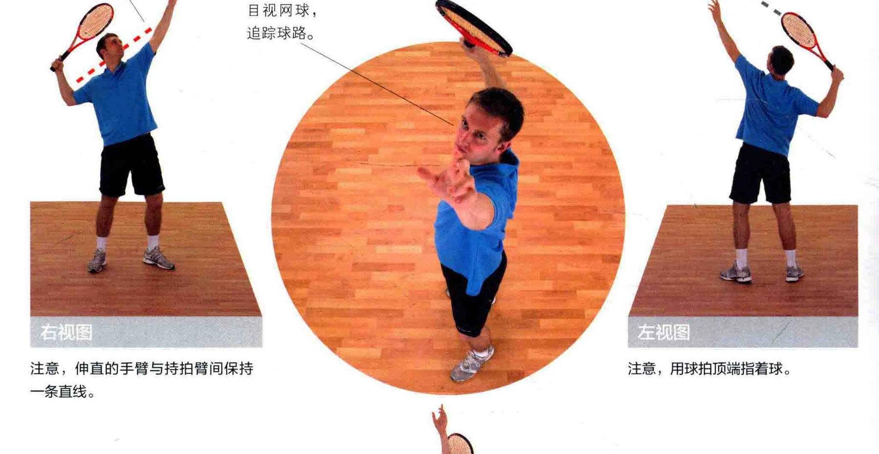 动作示范 · 多角度视图